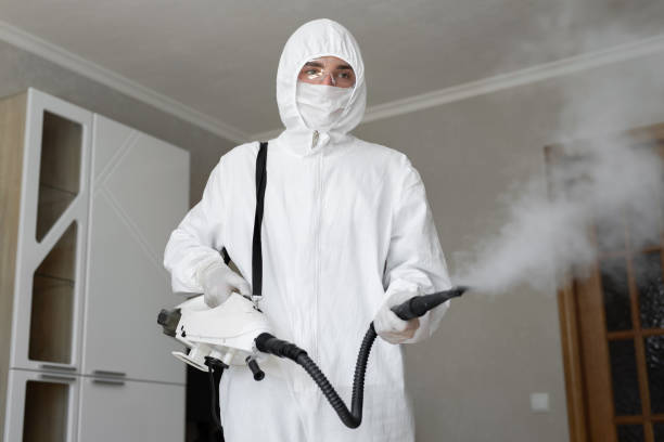 Mold Odor Removal Services in South Fulton, GA